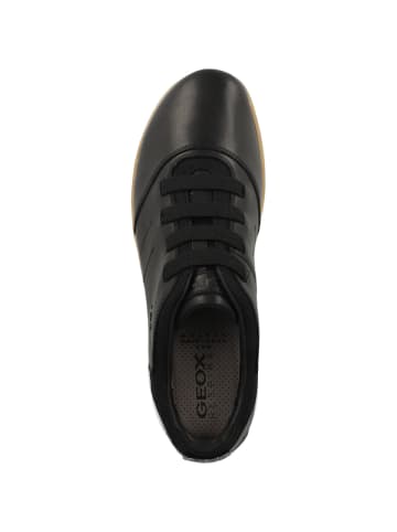 Geox Sneaker low U Nebula E in schwarz