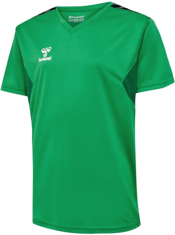 Hummel Shirt "Hmlauthentic Pl Jersey S/S Kids" in Multicolor