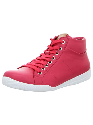 Andrea Conti Schnürstiefelette in pink