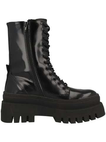 Steve Madden Boots Coast in schwarz