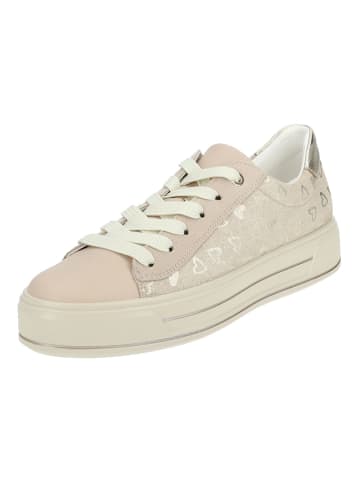 ara Sneaker in Beige/Gold