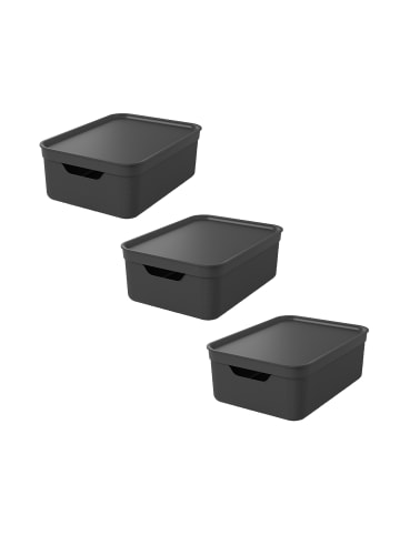 Rotho 3er Set Aufbewahrungsbox mit Deckel 10L JIVE in Holzkohle schwarz ged.