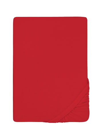 Biberna Spannbetttuch Frottee-Stretch in rot