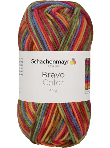 Schachenmayr since 1822 Handstrickgarne Bravo Color, 50g in Rainbow Jacquard