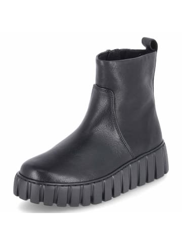 Gabor Stiefeletten in schwarz