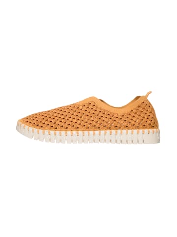 Ilse Jacobsen Sneaker Low TULIP3275 in Golden Nugget