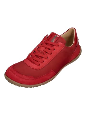KOEL Sneaker Low ISABELLA SUEDE in rot