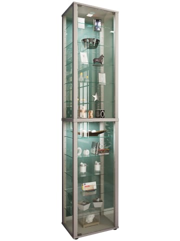 VCM  Holz Glas Stand Vitrine Kavisa XXL in Silber