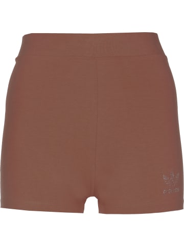 adidas adidas Shorts in earth brown