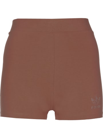adidas Shorts in earth brown