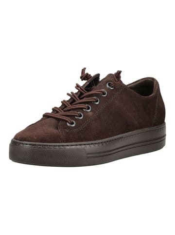 Paul Green Sneaker in Cacao