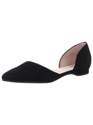 Apple of Eden Ballerinas in schwarz