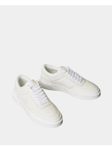 Calvin Klein Schuhe YW0YW02032 in Marshmallow/Dk Ecru