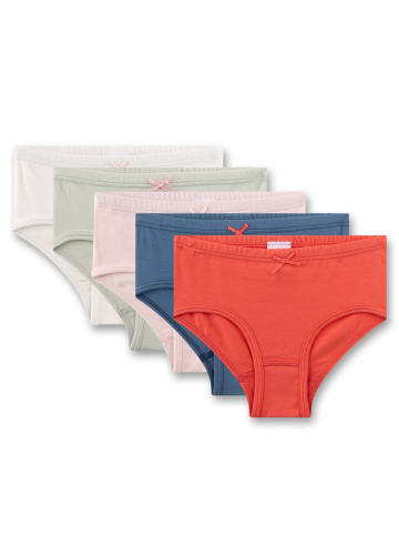 Sanetta Slip 5er Pack in Rot/Blau/Rosa
