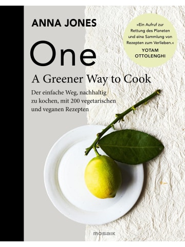 Mosaik ONE - A Greener Way to Cook