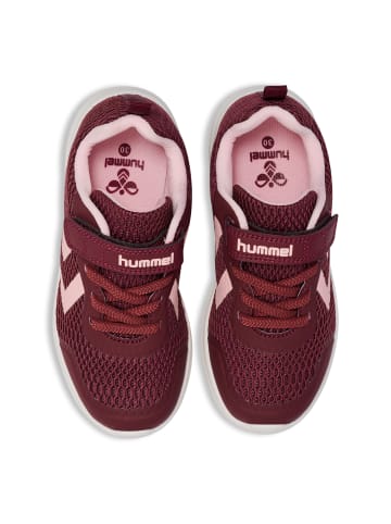 Hummel Hummel Klettverschluss Sneaker Actus Lebensstil Kinder in VINEYARD WINE
