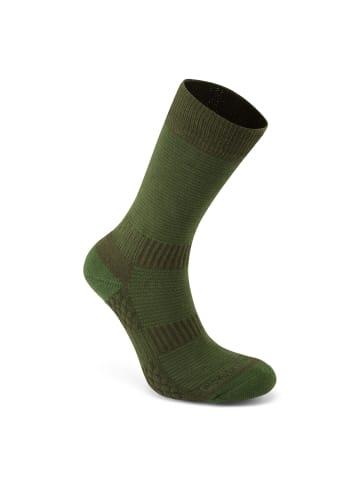 Craghoppers Socken Wärmeregulierende Reisesocke in Lime/Khaki