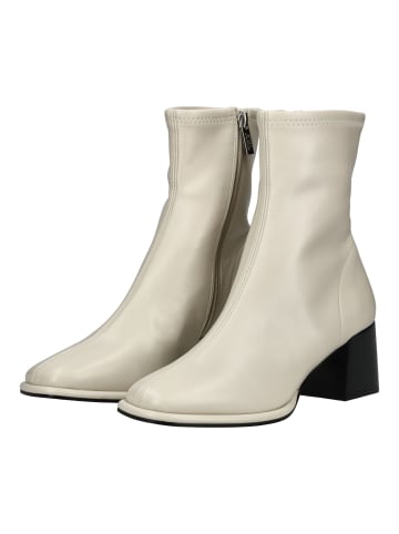 Steve Madden Stiefelette in Bone