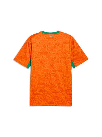 Puma T-Shirt "Fif Home Jersey Replica" in Orange