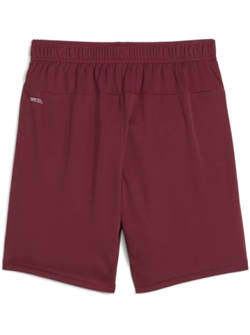 Puma Sporthose "TeamGoal Shorts Jr" in Rot