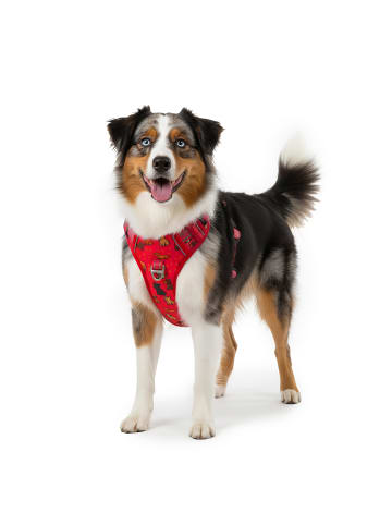 Reichstadt Hundegeschirr M in Puppy Love Red