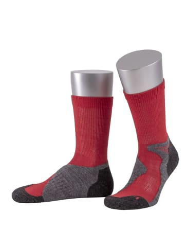 JD J. Dirks Outdoor-Funktions-Wollsocken OD40 in rot (21)