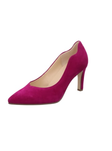 Gabor Pumps in lila