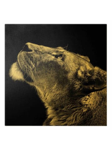 WALLART Leinwandbild Gold - Portrait einer Löwin in Schwarz-Weiß