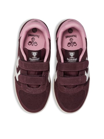 Hummel Klettverschluss Sneaker Victory Suede Lebensstil Kinder in VINEYARD WINE