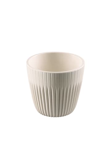 APS Schale 6er Set, Ø 7 cm, H: 6,5 cm, 90 ml