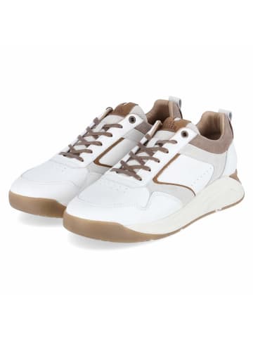 Bullboxer Low Sneaker in weiß