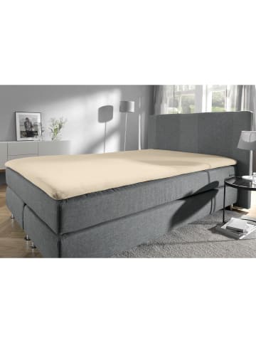 Erwin Müller Single-Jersey Bio Topper-Spannbettlaken Bayreuth in sand