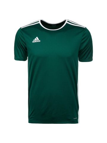 adidas Performance Fußballtrikot Entrada 18 in dunkelgrün / weiß