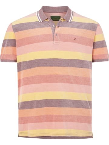 Charles Colby Poloshirt EARL EAMON in orange gestreift