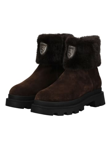 BLAUER USA Stiefelette Dunkelbraun