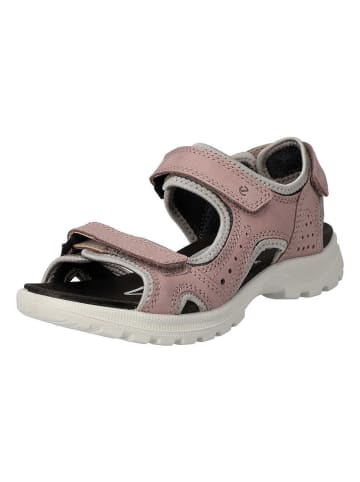 Ecco Outdoorsandalen ONROADS in woodrose