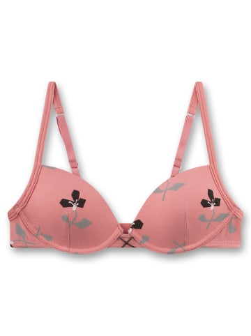 Sanetta BH in Rosa