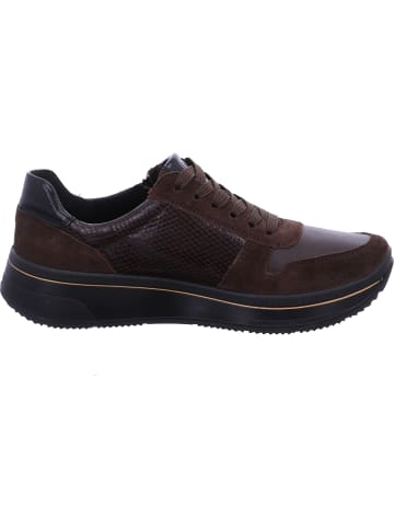 Ara Shoes Schnürer Sapporo 3.0 in Braun