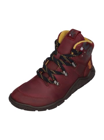 KOEL Stiefeletten ROBA MERINO in rot