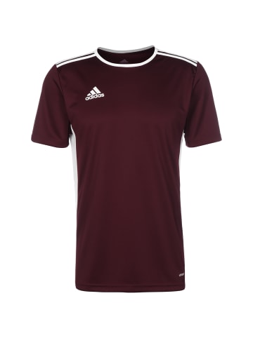 adidas Performance Fußballtrikot Entrada 18 in weinrot / weiß