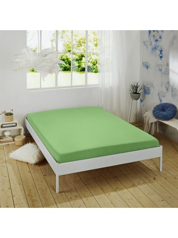 REDBEST Single-Jersey Spannbettlaken Denver in apfelgrün