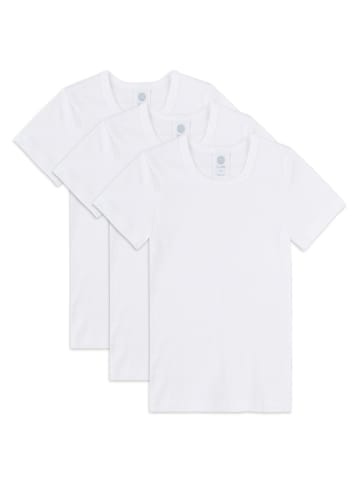 Sanetta T-Shirt 3er Pack in Weiß