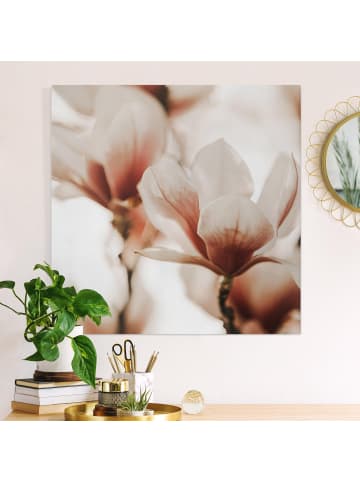 WALLART Leinwandbild - Zarte Magnolienblüten im Lichtspiel in Rosa