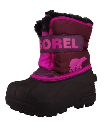 Sorel Stiefel violet