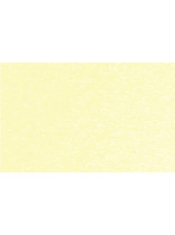 Buntpapierfabrik Ludwig Bähr Spezialpapier Starlight 200g/qm 23x33cm Packung mit 5 Blatt chamois