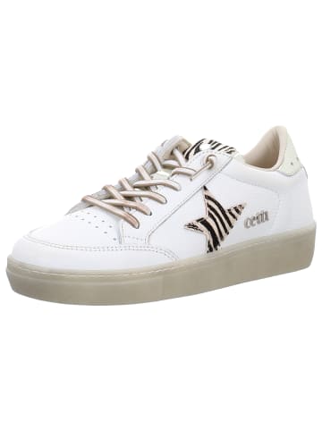 Cetti Sneaker Low in weiss