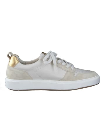 Paul Green Sneaker für Damen in beige