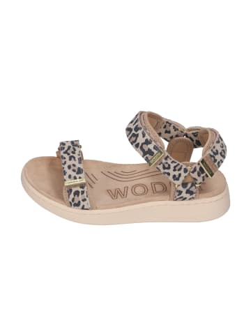 WODEN Sandalen LINE WL932 in bunt