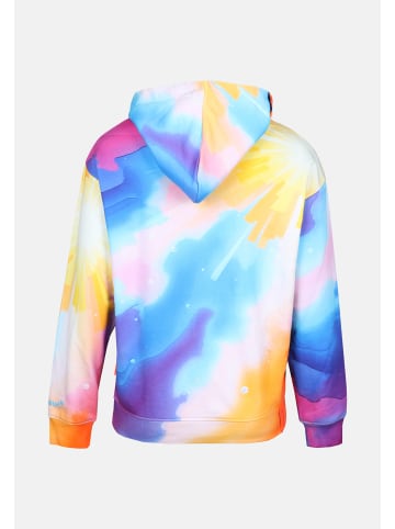 Salzhaut Hoodie AFFBACKERS in Multicolor
