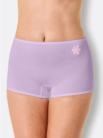 WITT WEIDEN Panty in 2x hellblau + 2x vanille + 2x flieder